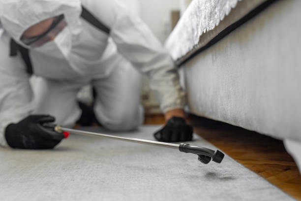 Professional Cockroach Control technician working in Pennington, NJ